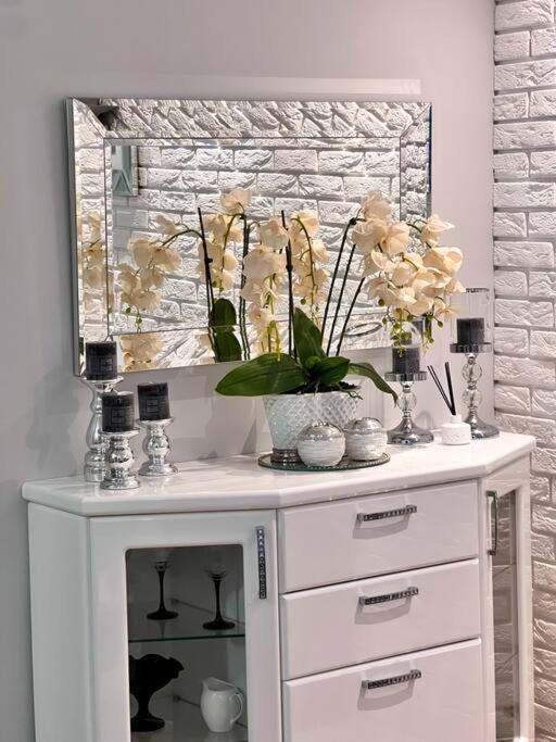 Apartament Zamojski Mlynska Zamość Exteriör bild