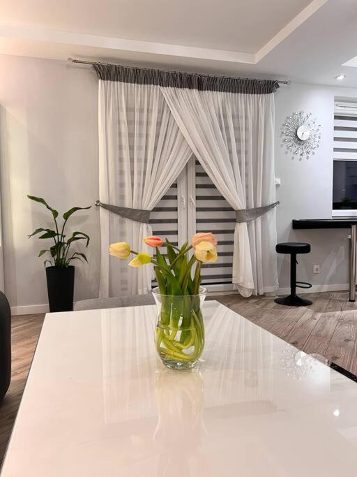 Apartament Zamojski Mlynska Zamość Exteriör bild