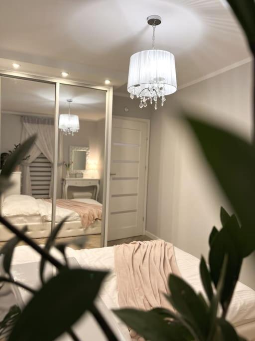 Apartament Zamojski Mlynska Zamość Exteriör bild