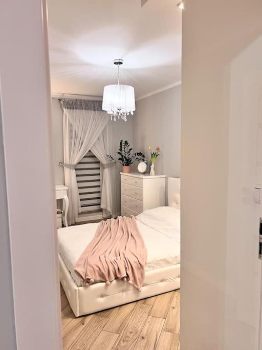 Apartament Zamojski Mlynska Zamość Exteriör bild